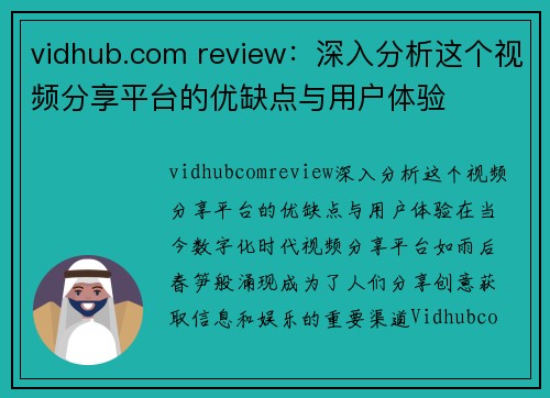 vidhub.com review：深入分析这个视频分享平台的优缺点与用户体验